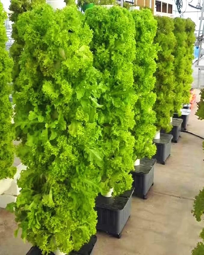 Hydroponics Tower Hydroponic Growing System Kits Indoor Grow System Vertical Grow Tower 15 Layer 45 Plants Sites with Pump Movable Water Tank for Herbs Fruits and Vegetables