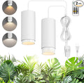 Zoomable Remote Pendant Grow Lights with Auto On/Off Timer 2X 30W Full Spectrum LED Plant Light 2700K-6000K Dimmable Plug in Hanging Lights for Indoor Plants 20FT Power Cord White 2PCS