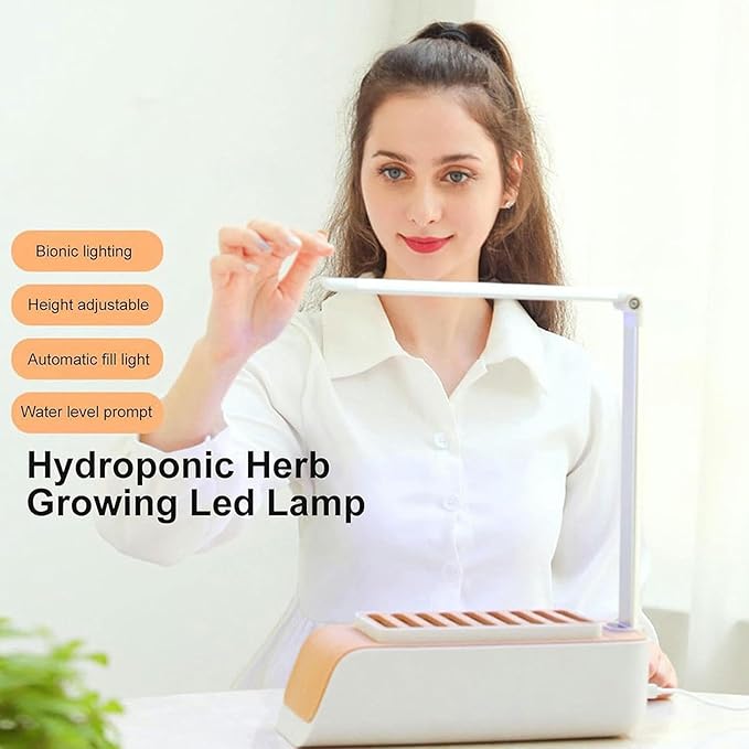 Full System of Hydroponic Culture Plants Lights Water Level Indicator Adjustable Height Interior Cultivation Kit Gardening Hydroponic Succulents