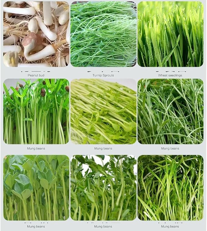Sprouter Bean Growing Machine Purple Sand Bean Sprout Machine Large Capacity Sprouting Seedling Machines Plant Germination Kits
