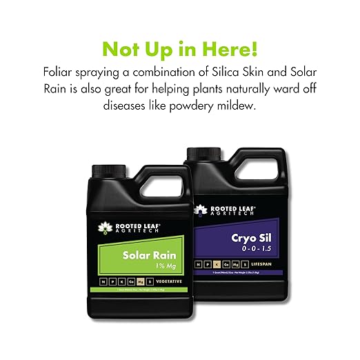 Cryo SIL - Silica Fertilizer for Plants Nutrients Derived from Natural Sand with Plant Based Organic Acid Nutrient with Potassium Foliar Spray for Hydroponic - 5 Gallon