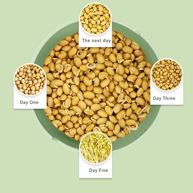Easy to Use Automatic Sprouts Maker Simple Three Step Operations Year Round Cultivation Natural Germination Methods User Friendly Sprouting Machine