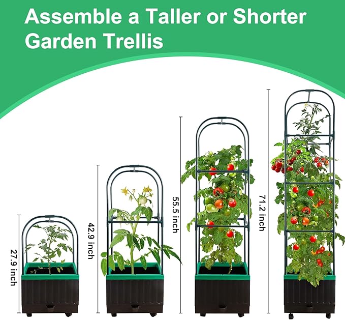 Raised Garden Bed with Self Watering Garden Pots Planter Box with Trellis for Climbing Plants Vegetable Vine Flowers Tomato Cage Planter for Indoor Outdoor Yard Greenhouse Use