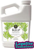 Kelp Liquid Fertilizer 32-Ounce Bottle (1K32C)