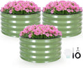 INNO STAG 3 Pcs Round Galvanized Raised Garden Bed — 2×2×1ft Planter Box Outdoor Raised Beds Kit for Gardening Vegetables Fruits Herbs and Flowers Olive Green