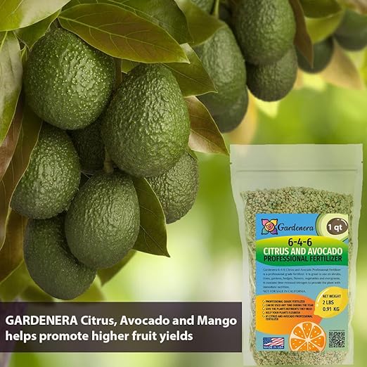 𝐁𝐄𝐒𝐓𝐒𝐄𝐋𝐋𝐄𝐑 6-4-6 Avocado Citrus Tree Plant Food for Outdoor/Indoor Gardening | Quick-Release Nitrogen Fertilizer | Orange Lime Avocado and Lemon Tree Fertilizer (3 Quarts)