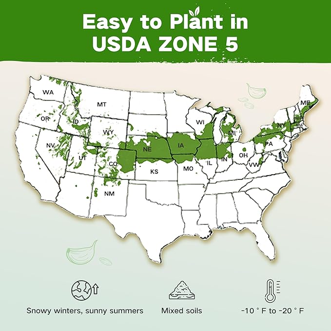 Lush&ampDew Year-Round USDA Zone 5 Seed Bank 32 Varieties Non-GMO Heirloom Seeds of Vegetables Herbs Gardening Gifts for Women Men Emergency Survival Kit for Raised Garden Bed Greenhouse