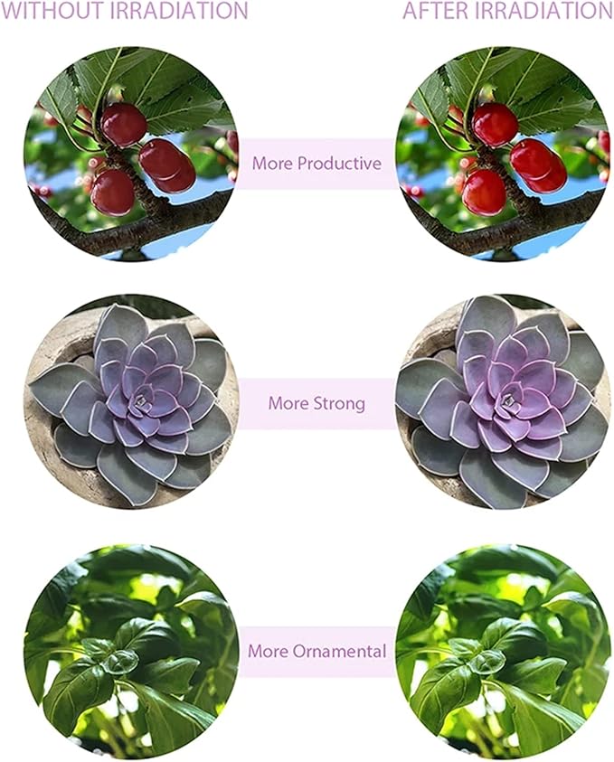 LED Grow Light USB Phyto Lamp Full Spectrum with Control Phytolamp for Plants Seedlings Flower Home Tent