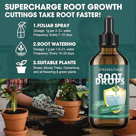 Root Drops – Liquid IBA Rooting Hormone for Cuttings | Speeds Up Propagation | Works in Water Soil Moss LECA | for Indoor Houseplants Like Pothos Monstera (4 oz)