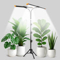 Plant Grow Light with StandSuper Bright 6000K White Full Spectrum Floor Growing Lamp with Rotatable Dual Light Head &amp Height Adjustable 17-62 for Indoor Tall Plants Dimmable &amp Auto Timer 4/