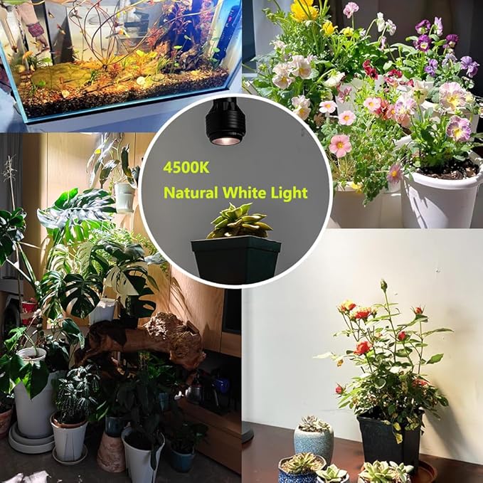 2-Pack Hook Mounted Plant Light Full Spectrum 4500K 10W Adjusted Light Beam Range 15-60° Industrial Style Black Wall Lamp for Flowers Growing Indoor Plants (DZ22x6)