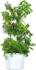 Standard Outdoor Vertical Hydroponic Growing System Kit Grow 27 Large Lettuce Vegetables Herbs Fruit | 20 Gallon Water Tank 20' Pump Cable Smart WiFi Timer | Easy Assembly &amp Use