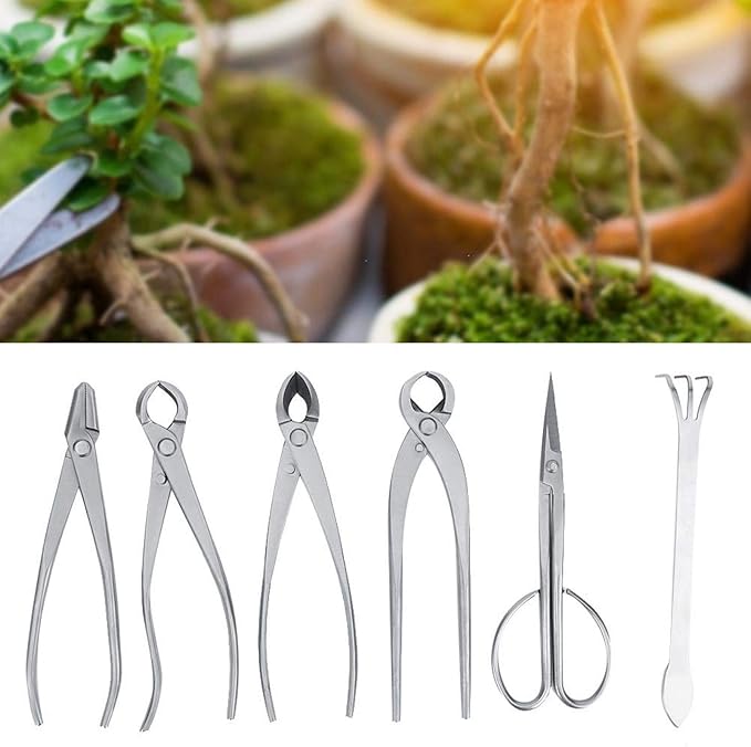 Bonsai Tools Set 6pcs Stainless Steel Bonsai Garden Plant Tree Scissors Trimming Cutting Tool Set with Storage Bag Garden Plant Tools