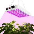 LED Plant Grow Light BW1000 Dimmable Grow Lights Full Spectrum Hanging Growing Lamps for for Indoor Plants Greenhouse Seedlings Vegetables Flowers (B2-1000W)