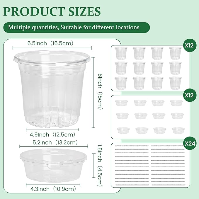 12 Pack 6.5 Inch Clear Self Watering Plant Pots with Bottom Water Tray &amp Watering Rope Transparent Nursery Pots with Drainage for Seedlings Herbs and Houseplants