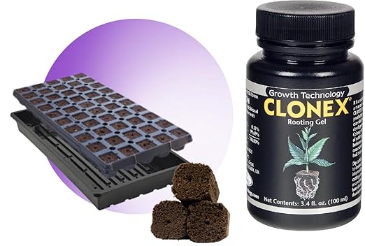 Clonex 100ml Cloning Gel &amp OrganiPlug Seed and Cutting Plugs Bundle - Pre-Filled Tray with 50 Plugs for Plant Propagation and Rooting
