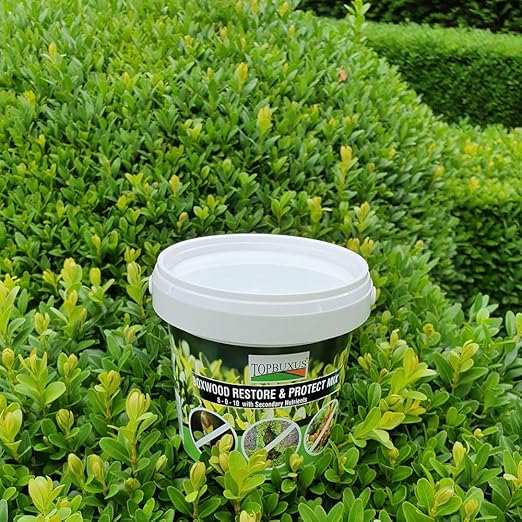 TOPBUXUS Boxwood Restore &amp Protect Mix - 10 tabs for 1000 sq. ft.