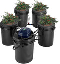 VEVOR RDWC Hydroponics Grow System Hydroponic Growing Kit with Top Drip Recirculating Deep Water Culture 4 Buckles and 1 Reservoir with Air Pump and Water Level Device for Leafy Vegetables