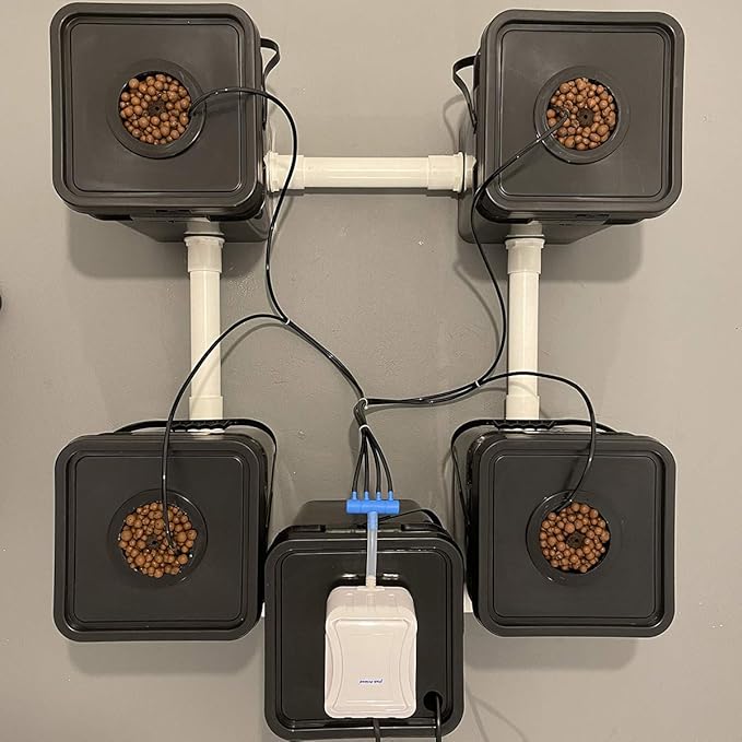 Recirculating Deep Water Culture RDWC Hydroponic Grow Kit System 5 Gallon 4 Site with Connected Reservoir