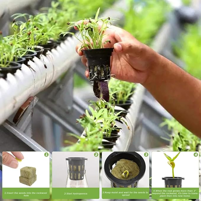 Rockwool Cubes for Hydroponics with Net Pots hydroponics Growing System Including 36 Plugs 36 Net Cups and 10m Self Watering Cotton Wick Cord for Supplies..