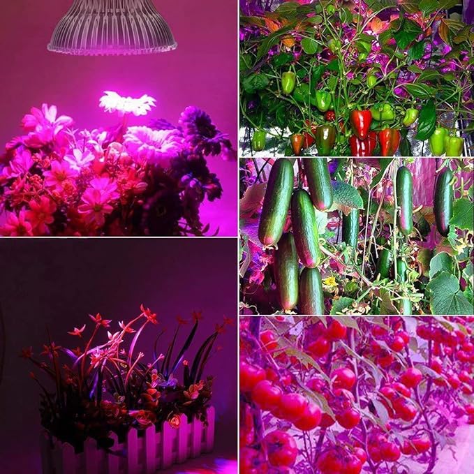 50W Full Spectrum LED Plant Grow Light Bulb E26 Base AC 85-265V LED Plant Light Bulb for Indoor Plants Vegetables Seedlings Hydroponics Indoor Garden Greenhouse 2-Pack
