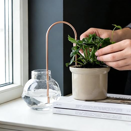 Self-Watering Plant Wick System Brass and Cotton U-Shaped Automatic Drip Irrigation for House Plants (Rose Gold)