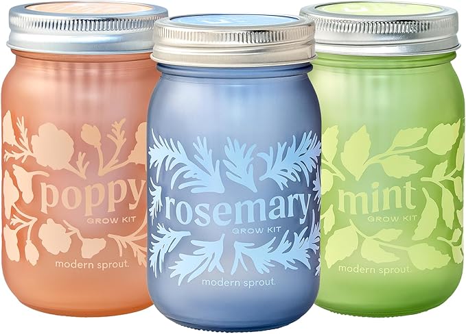 Modern Sprout Mason Garden Jar - Self-Watering Hydroponics Growing System Kit w/Organic Herb Seeds - Jar Planter for Indoor Herb Garden - Seed Starter Kit - Easter Gifting &amp Decor-Mint+Rosemary+Po