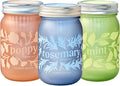 Modern Sprout Mason Garden Jar - Self-Watering Hydroponics Growing System Kit w/Organic Herb Seeds - Jar Planter for Indoor Herb Garden - Seed Starter Kit - Easter Gifting &amp Decor-Mint+Rosemary+Po