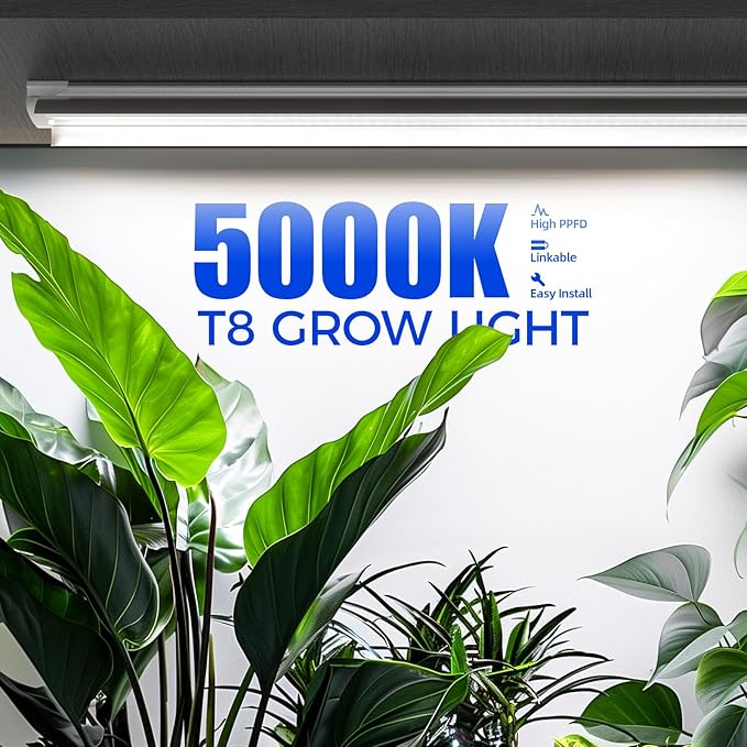 Barrina T8 Grow Lights for Indoor Plants 4FT Full Spectrum Grow Light 168W(4 x 42W) Plant Lights for Greenhouse Indoor Growing V-Shape with Reflector Linkable 5000K Daylight White 4 Packs