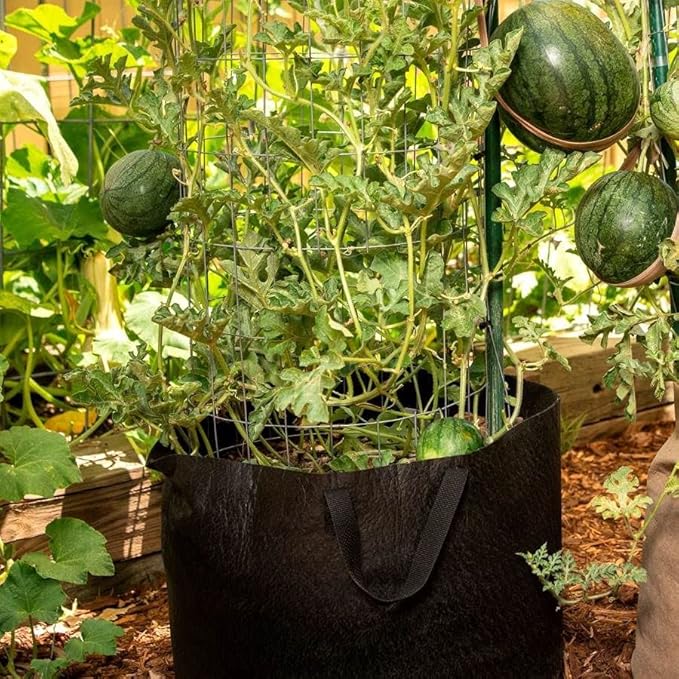 Park Seed Smart Pot Fabric Planter with Handles 20 Gallon Capacity Black
