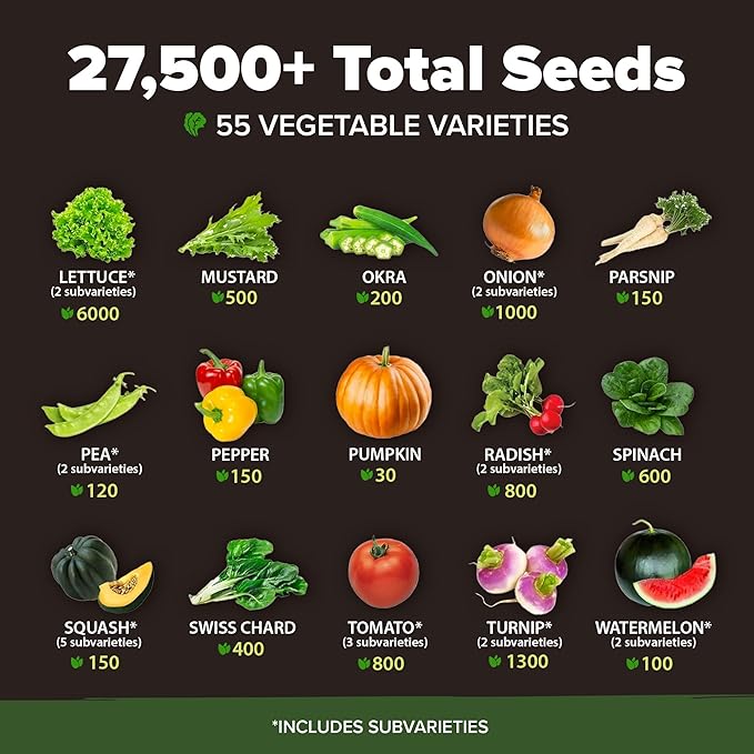 55 Vegetable Seeds &amp 15 Culinary Herb Seeds Pack – 32500+ USA Non-GMO Heirloom Seeds for Planting – Survival Garden Kit for Preppers – Gifts for Gardeners Men Women