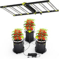 320W LED Grow Lights Kit Commercial Full Spectrum Bar Style LED Grow Lamp with 72W Under-Canopy Grow Light 4x2ft Coverage Growing Lamp for Hydroponics Greenhouse