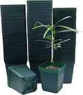 Square Seedling Nursery Pots 3.15 Inches 100 Pcs for Small Succulents or Cacti Flower Plastic Pots Sturdy Reusable (Green 3.14Inches100Pcs)