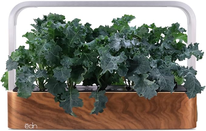 edn SmallGarden Kale SeedPods - 10 Pack
