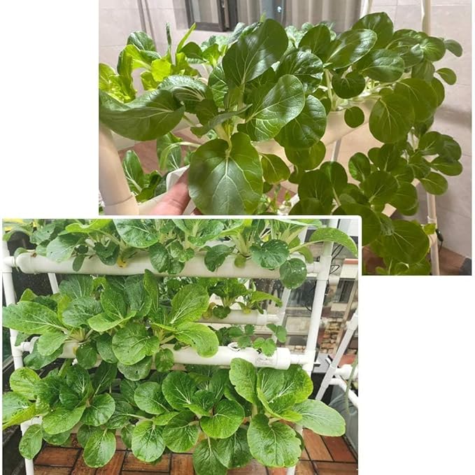 Hydroponics Growing System Kit 36 Plant Sites Food-Grade PVC-U Pipes Hydroponic Grow Kit Gardening System for VegetablesFruitsHerb