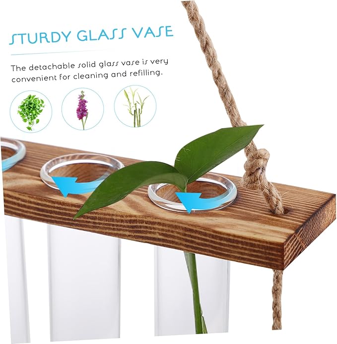 Wall Hanging Propagation Station Hydroponic Kit Plant Propagation Tubes for Home Decor