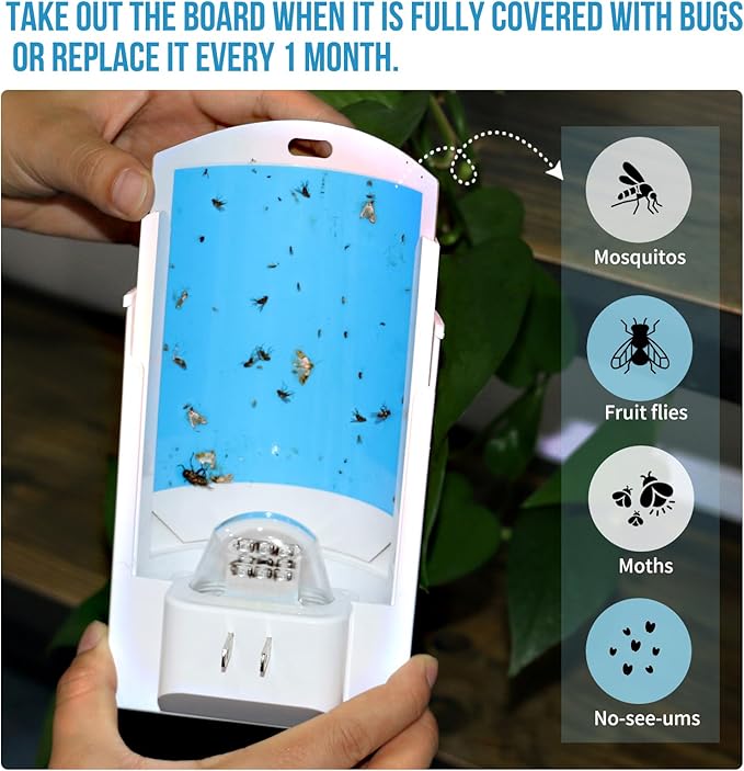 2 Pack Flying Insect Traps for Indoor Plug-in Bug Catcher for Flies Fruit Flies Gnats Moths Noiseless for Home 30-Day Glue Card Replaced (2 Devices &amp 8 Refills)