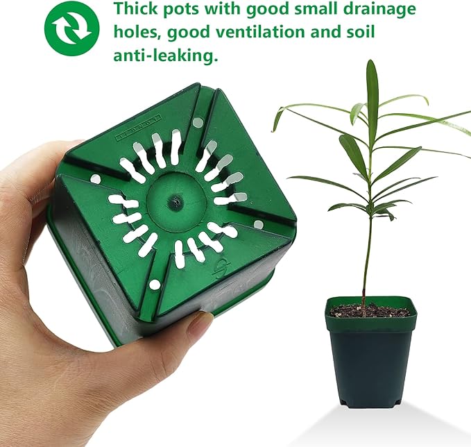 Square Seedling Nursery Pots 3.15 Inches 100 Pcs for Small Succulents or Cacti Flower Plastic Pots Sturdy Reusable (Green 3.14Inches100Pcs)