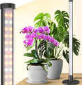 Barrina Standing Grow Light for Indoor Plants 20W 2FT Desk LED Plant Light Hanging and Standing Table Top Full Spectrum Vertical Grow Lights with Stand and On/Off Switch Ideal for Plants Growth