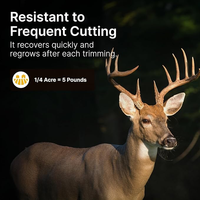 HIT LIST SEED®No Till Alfalfa Food Plot Seeds for Deer [Perennial] - Deer Food Plot Seed Throw and Grow - Deer Plot Seed Mix Perennial No Plow - 100% Alfalfa - Spring Summer &amp Fall Planting - 10