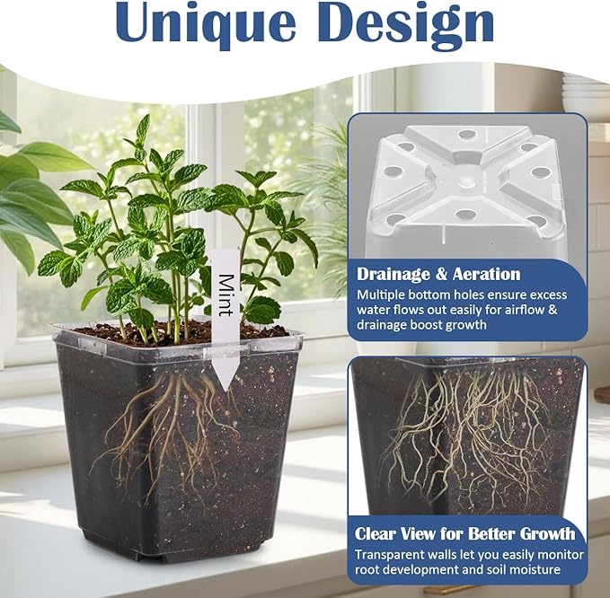 5.5 Inch Clear Square Nursery Pots with Drainage &amp Labels 30Pcs Reusable Seed Starter Pots for Vegetables Indoor Outdoor Gardening Thick Transparent Plastic Plant Pots for Seed Starting