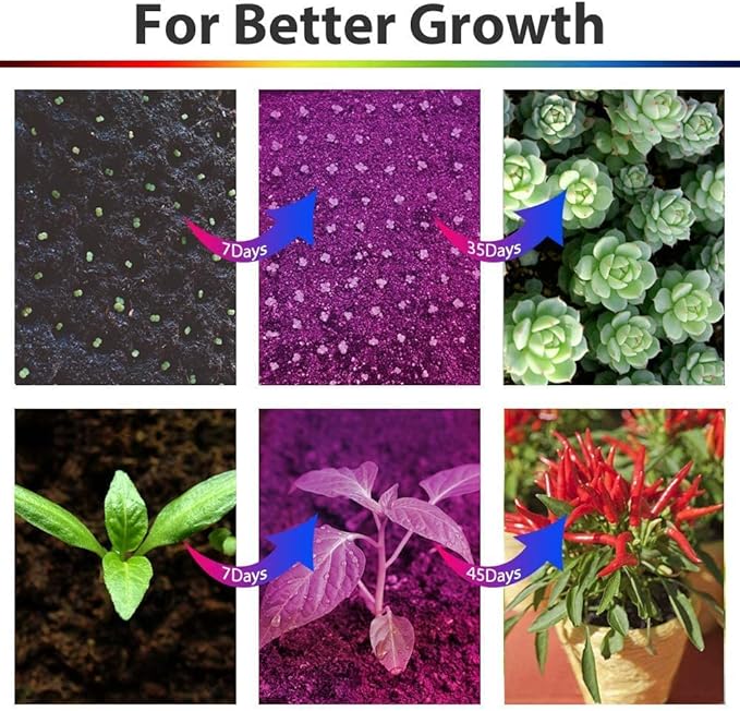 Grow Light Grow Lights for Indoor Plants - BaoChen 30W Plant Light with Auto Turn On Function 60 LED 3/6/12H Timer 5 Dimmable Modes 3 Spectral Modes 3 Divide Control Grow Lamp [Upgraded Switch]