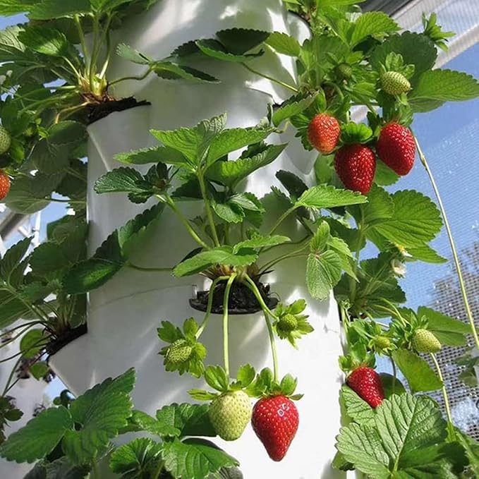 Garden Hydroponic Growing System 6 Levels 36 Pods Aeroponics Growing Kit with Hydration Pump Earthless Culture for Herbs Fruits and Vegetables