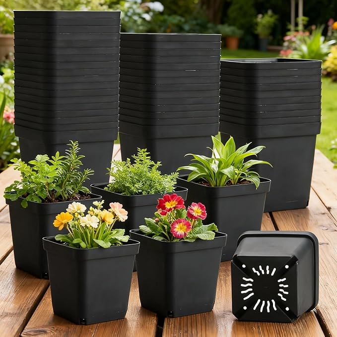 BTPLASTIK Square Nursery Pots 5.5 Inch 50Pcs Plastic Sturdy Reusable Seedling Pots with Drainage Holes Garden Flower Planters for Indoor/Outdoor Transplanting Succulents Cuttings Black