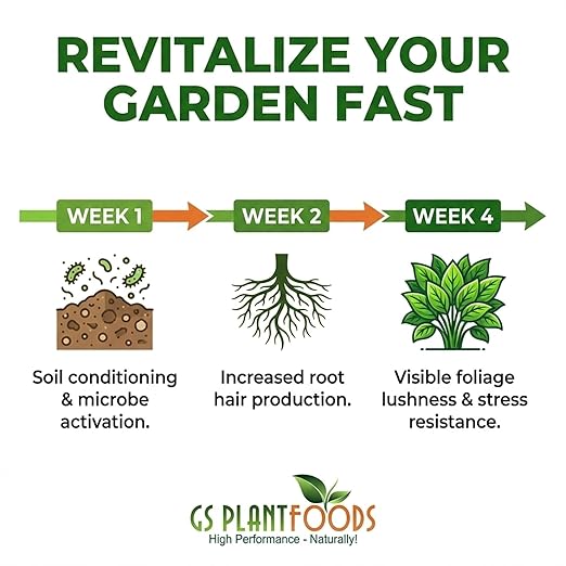 GS Plant Foods Root Ruckus Compost Fertilizer Organic Plant Food - Turbo Charged Compost for Plants - Humic Acid &amp Sea Kelp Nutritional Root Supplement for Lawns Soil Shrubs &amp Vegetables - 1