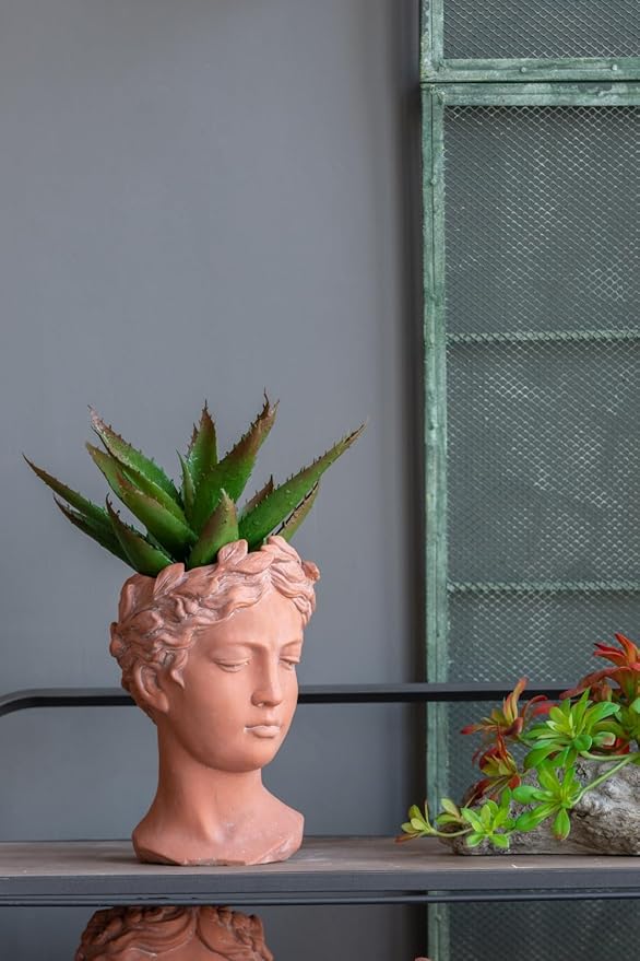 D6x9 Visage Head Bust Planter Brown