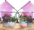 Grow Lights for Indoor Plants - Red &amp Blue Spectrum LED Plant Light with Auto 3/9/12H Timer 10 Dimmable Levels &amp Sturdy Gooseneck - Ideal for Herbs Succulents Houseplants in Home/Office (1