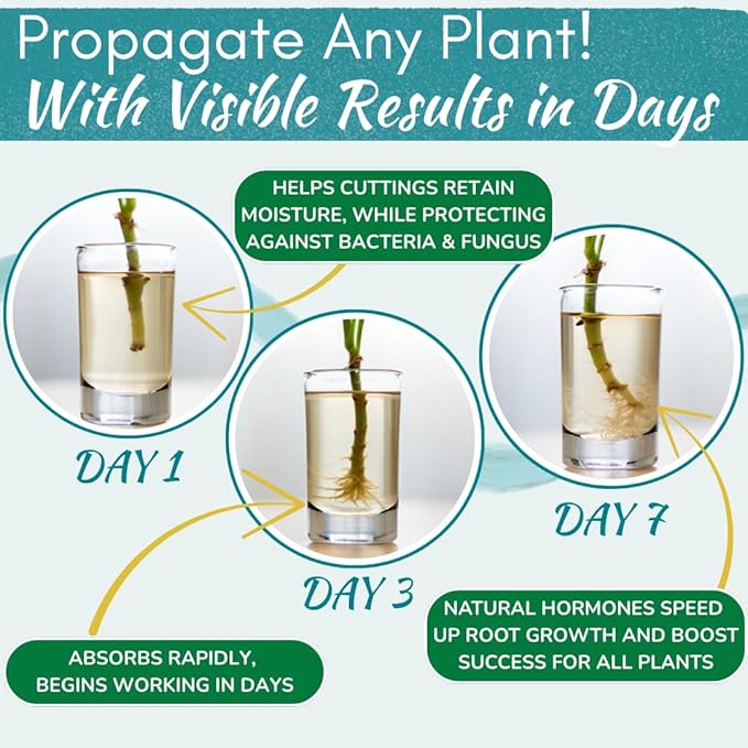 Houseplant Prop Drops - Propagation Promoter &amp Root Growth Hormone | Root Stimulator for Cuttings | Supports Stronger Healthier Plants | Easy-to-Use Liquid Formula for Water &amp Soil Propagatio
