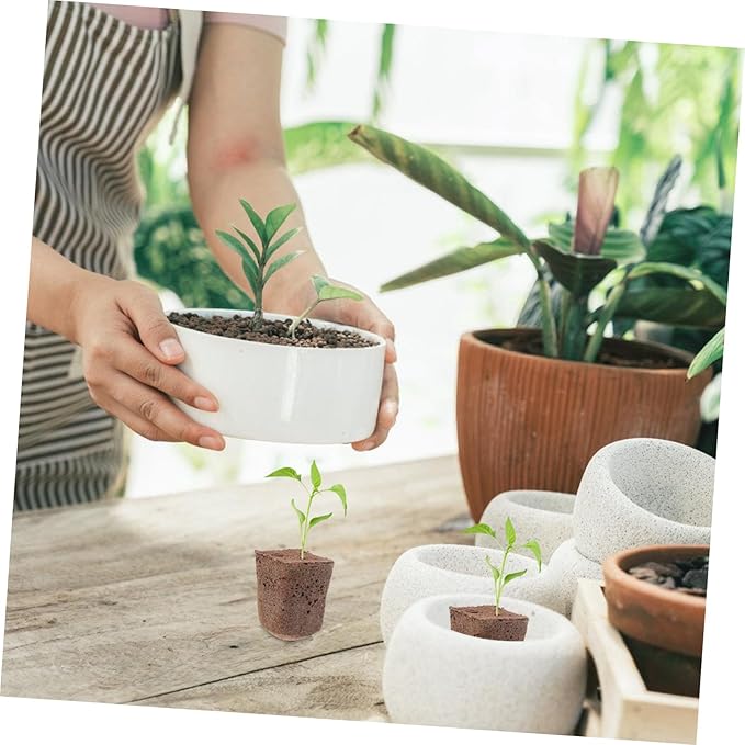 balacoo 200pcs Plant Soil Block Seedling Starter Trays Plant Soil Garden Supplies Flower Cultivation