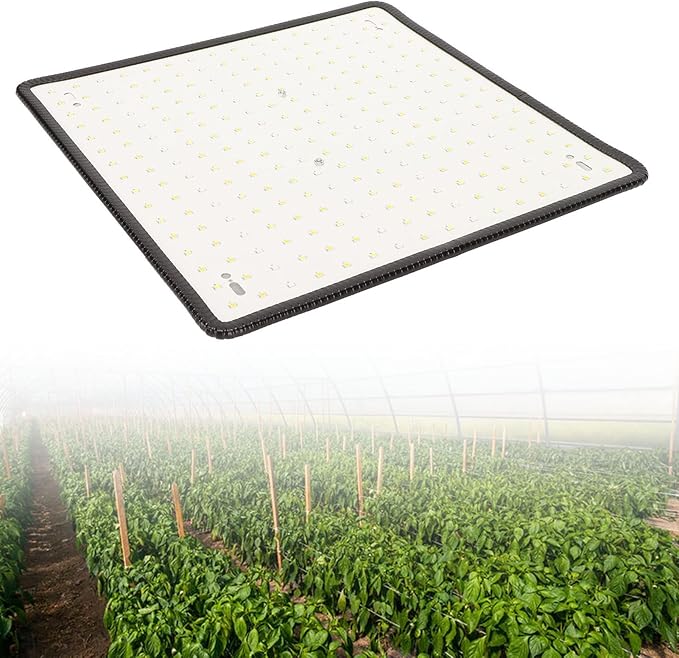 Grow Light 1000W LED Grow Light Professional Red and Blue Spectrum Plant Light for Indoor Plants Greenhouse 85‑265V(US)